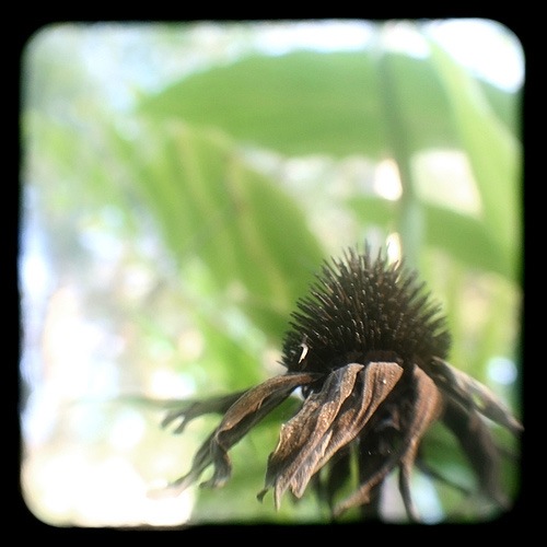 ttv-spikes